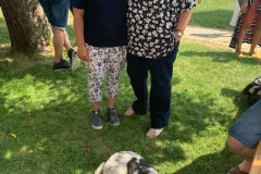 66036421_2795285563879593_4952381108021886976_n